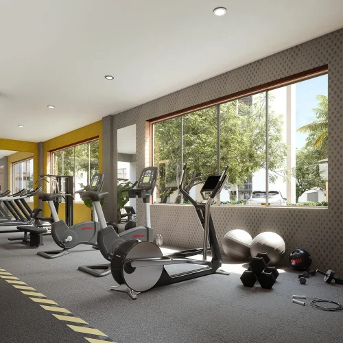 CM_T-Farallones-_Gym-Final-scaled