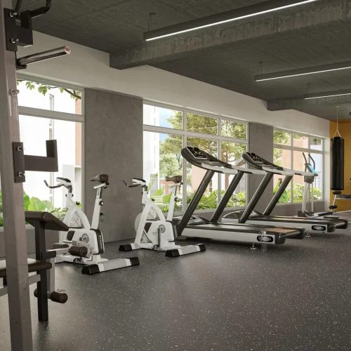 CM_TLP_Gym_Final-scaled